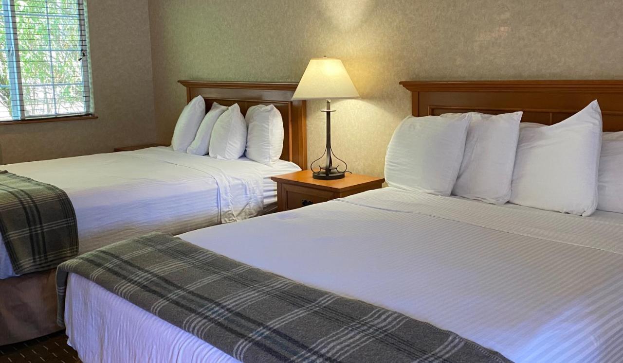 Hotel Cousin's Country